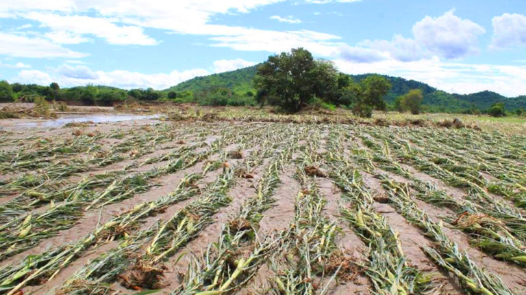 El Fenómeno del Niño y su Impacto en la Agricultura: Desafíos y Adaptaciones