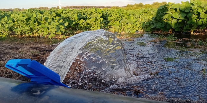 Agricultura y producción de alimentos representan el 70% de consumo mundial de agua