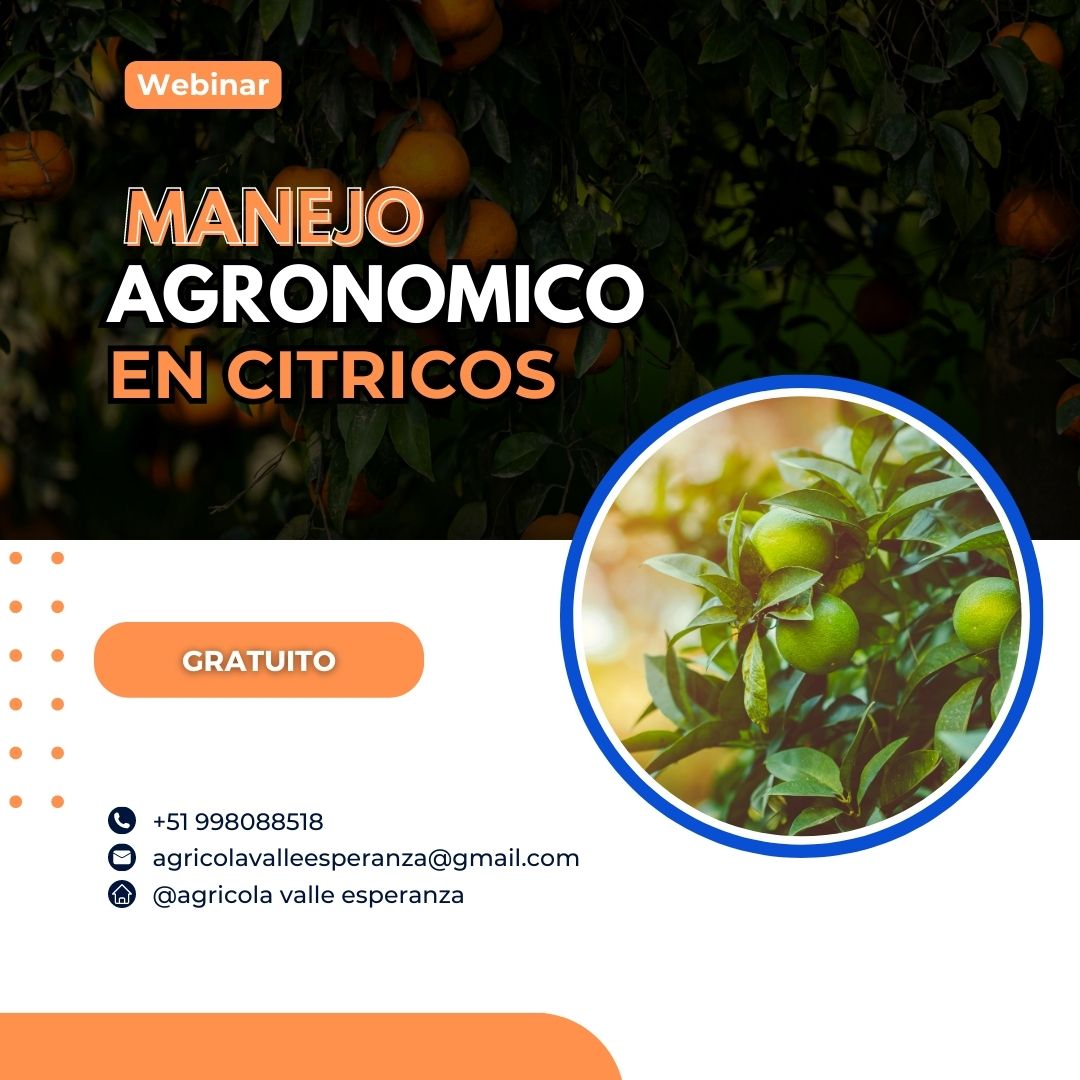 Curso Gratuito de Manejo Agronómico en los Cultivos de Cítricos