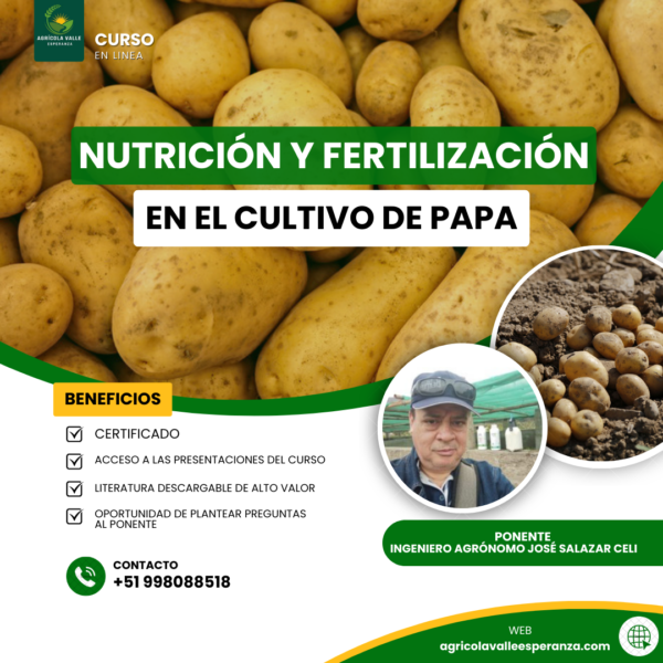 NUTRICIÓN Y FERTILIZACIÓN EN EL CULTIVO DE PAPA