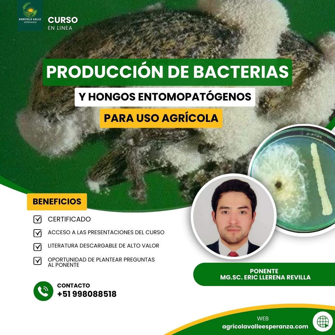 PRODUCCIÓN DE BACTERIAS Y HONGOS ENTOMOPATÓGENOS PARA USO AGRÍCOLA