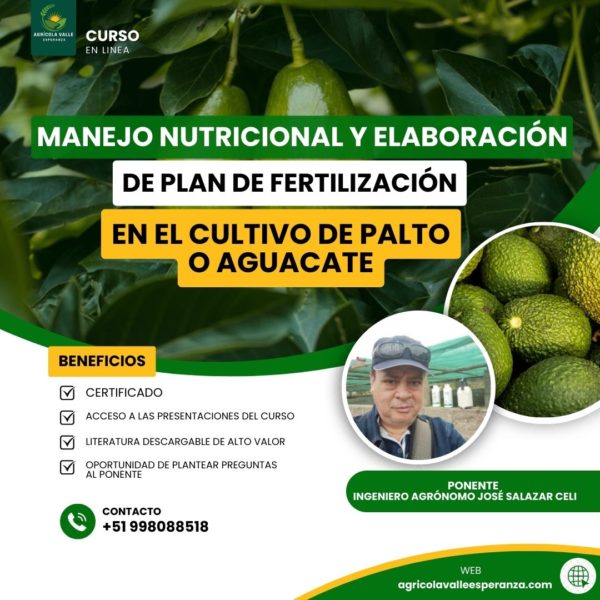 MANEJO NUTRICIONAL Y ELABORACIÓN DE PLAN DE FERTILIZACIÓN EN EL CULTIVO DE PALTO