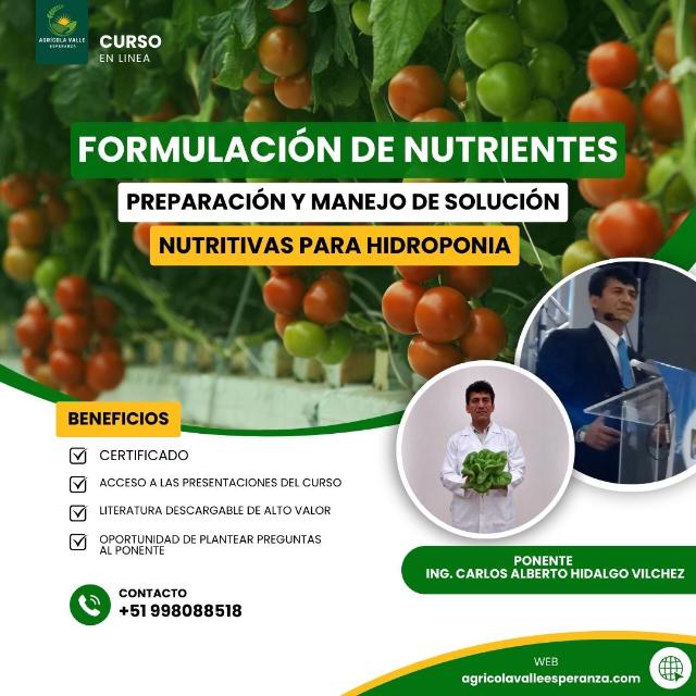 CURSO VIRTUAL
TÓMALO EN TUS HORARIOS DISPONIBLES
FORMULACIÓN DE NUTRIENTES, PREPARACIÓN Y MANEJO DE SOLUCIÓN NUTRITIVAS PARA HIDROPONIA
14 HORAS DE CURSO