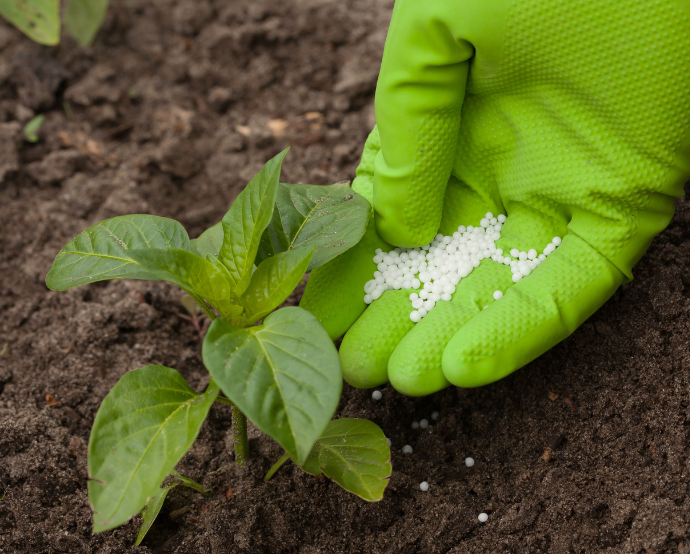 Cómo aplicar los fertilizantes