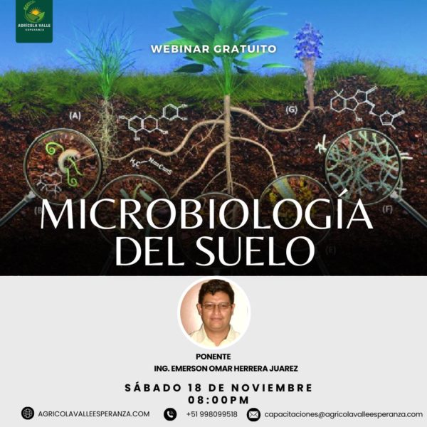 MICROBIOLOGÍA DEL SUELO