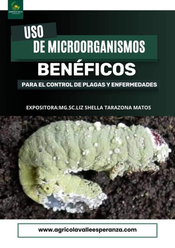 USO DE MICROORGANISMOS BENÉFICOS PARA EL CONTROL DE PLAGAS Y ENFERMEDADES