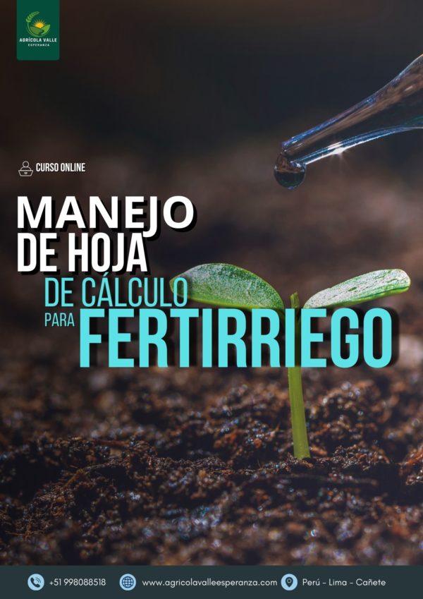 MANEJO DE HOJA DE CÁLCULO PARA FERTIRRIEGO