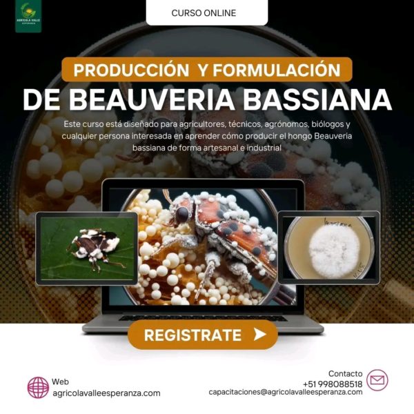 PRODUCCIÓN Y FORMULACIÓN DE BEAUVERIA BASSIANA