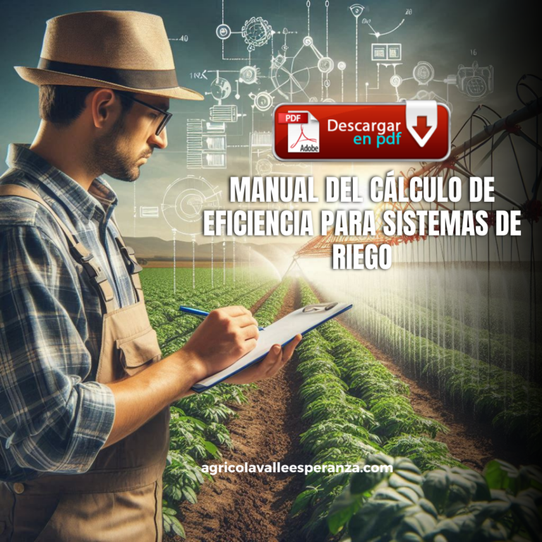 MANUAL DEL CÁLCULO DE EFICIENCIA PARA SISTEMAS DE RIEGO