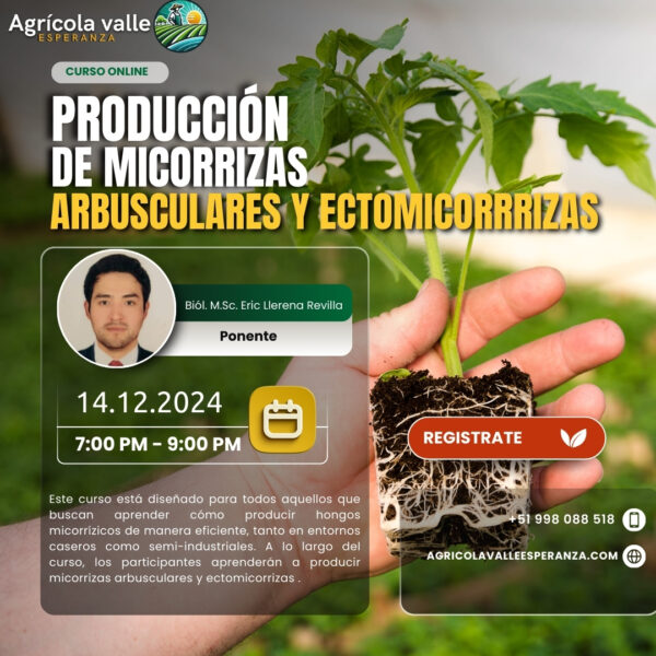 PRODUCCIÓN DE HONGOS FORMADORES DE ENDOMICORRIZAS (MICORRIZAS ARBUSCULARES) Y ECTOMICORRRIZAS