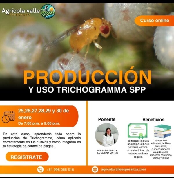 PRODUCCIÓN Y USO DE TRICHOGRAMMA SPP