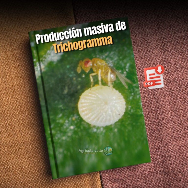 Producción masiva de Trichogramma