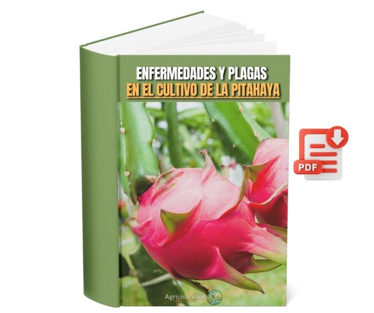 ENFERMEDADES Y PLAGAS EN EL CULTIVO DE LA PITAHAYA