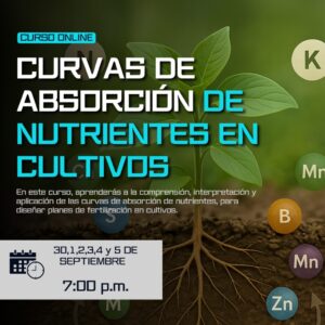 CURVAS DE ABSORCIÓN DE NUTRIENTES EN CULTIVOS