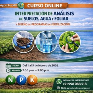 INTERPRETACIÓN DE ANALISIS DE SUELOS, AGUA Y FOLIAR Y DISEÑO DE PROGRAMAS DE FERTILIZACION