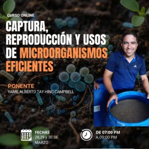Captura, Reproducción y usos de Microorganismos eficientes